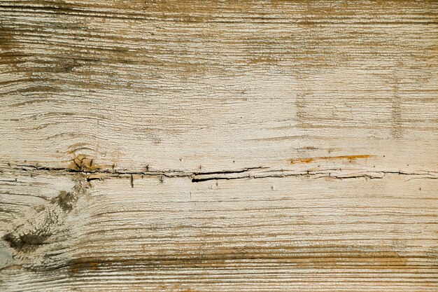 Wood texture