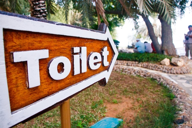 Wooden arrow with lettering 'Toilet' stands before the tree