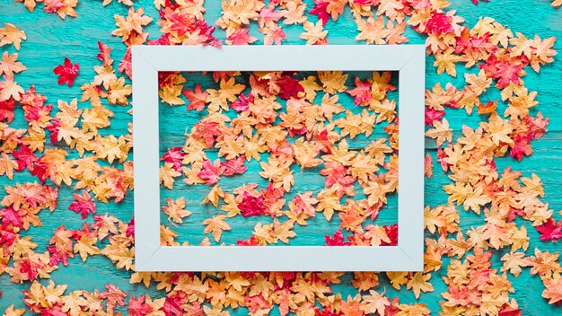 Wooden background with autumn leaves and frame picture