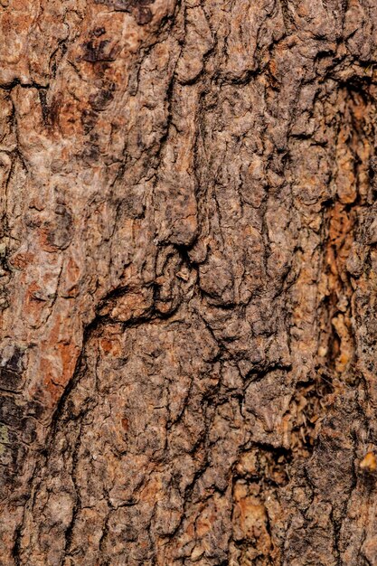 Wooden background