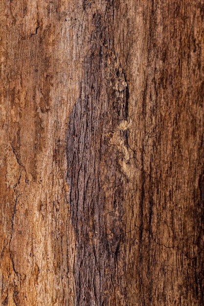 Free photo wooden background