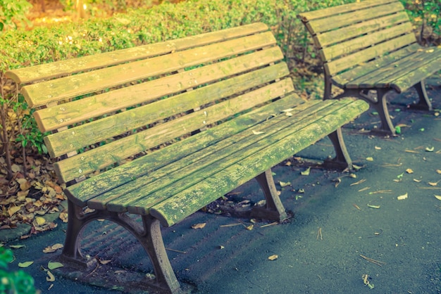 Wooden bench in the park ( Filtered image processed vintage effe