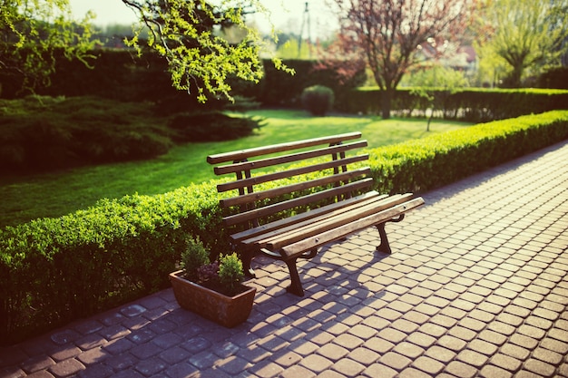 Free photo wooden bench in the park