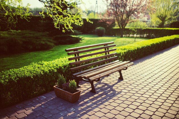 Wooden bench in the park