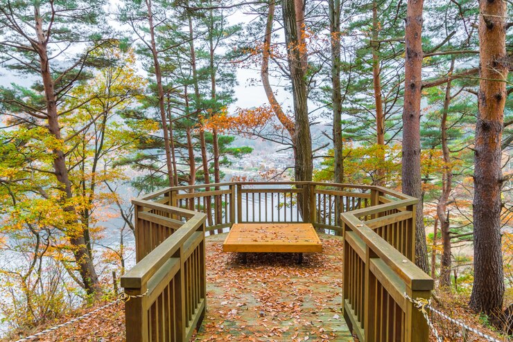 Free Photo wooden bench in the park