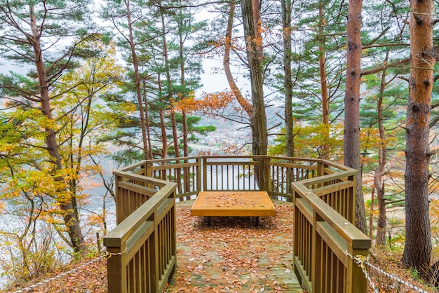 Wooden bench in the park