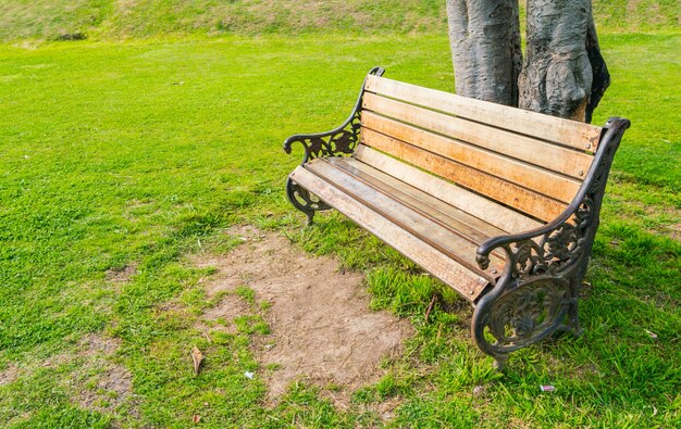 Wooden bench in the park .