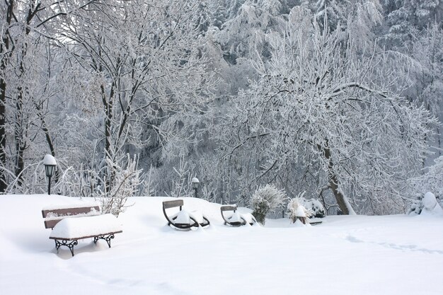 雪に覆われた地面の木の近くの雪で覆われた木製のベンチ