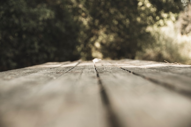 Wooden board in forest 