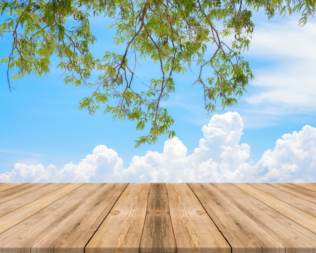 Foto gratuita tavole di legno con cielo blu e rami