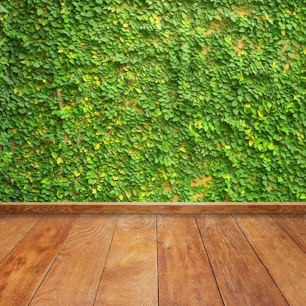 Wooden boards with a vine on the wall