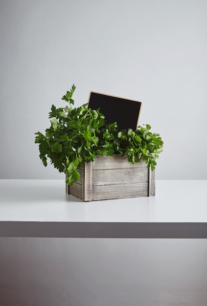 Wooden box with fresh green parsley and cilantro with chalk board price tag inside isolated on white table