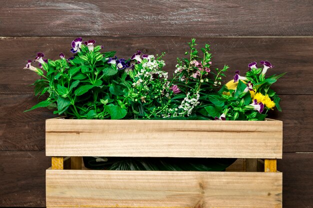 Wooden box with garden flowers