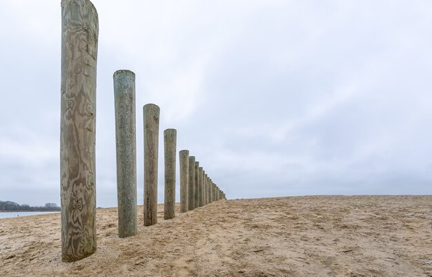 Wooden breakwater poles on a beach under a cloudy sky at daytime