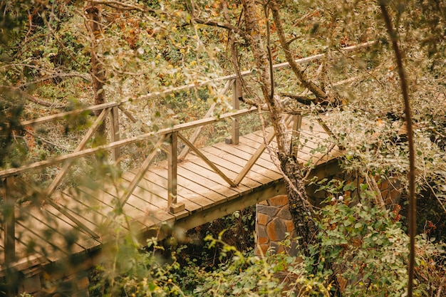 Free photo wooden bridge in forest