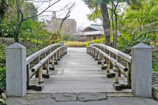 自然環境での木製の橋