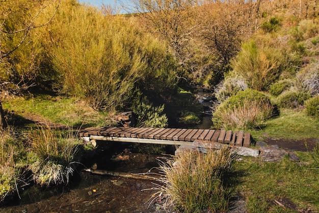 小さな川の木造橋