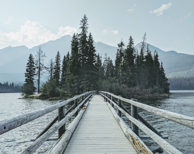 山と森に向かって水に架かる木製の橋