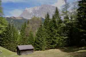 Foto gratuita baita in legno in un terreno verde circondato da bellissimi alberi verdi e alte montagne rocciose