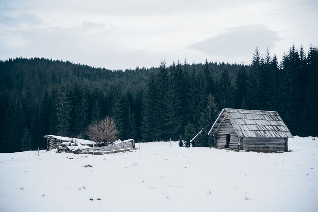 Wooden cabin on snow covered field