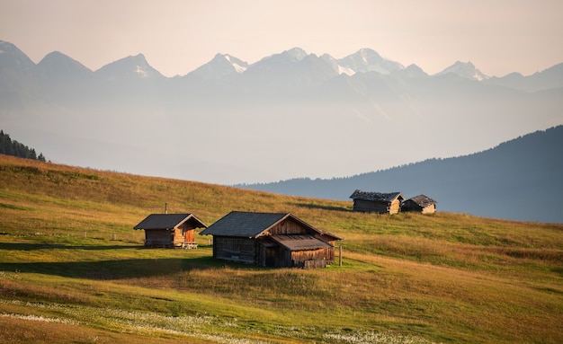 Wooden cabins in a beautiful meadow
