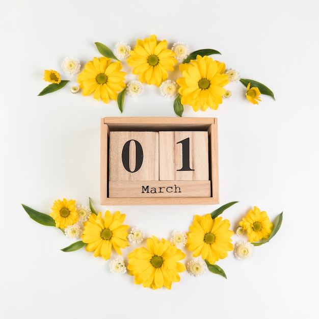 Wooden calendar showing 1st march decorated with chamomile and chrysanthemum flowers against white backdrop