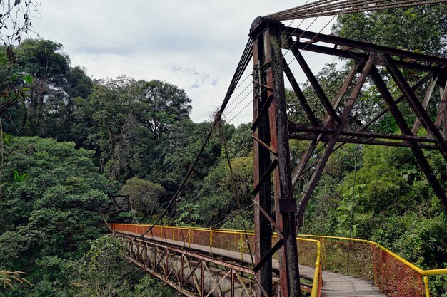Wooden canopy walkway connected two sides of the forest