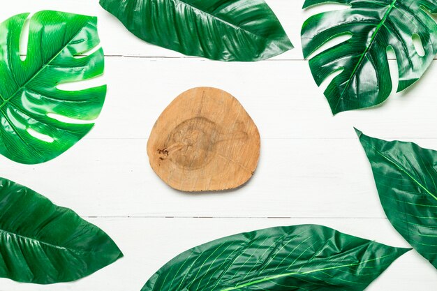 Wooden circle and green leaves around