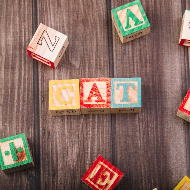 Free photo wooden cubes with cat inscription