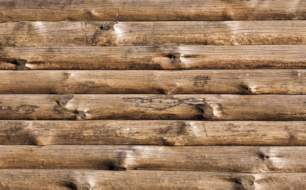Wooden dried tree trunks background
