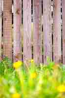 Free photo wooden fence background with  grass border