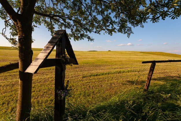 Wooden fence on a dry grassy field under a blue sky in Eifel, Germany