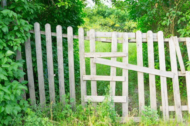 Wooden fence in a garden full of trees