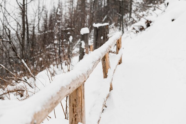 Wooden fence in winter