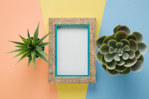 Wooden frame surrounded by plants