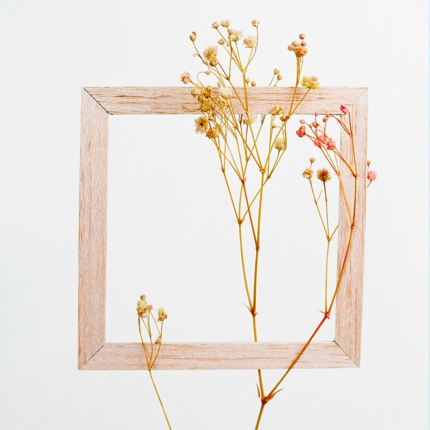 Wooden frame with flower branch