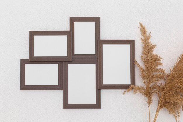 Wooden frames on wall and plants