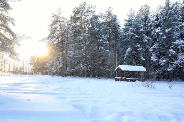 Wooden gazebo in the forest in winter sunny day