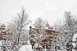 무료 사진 눈으로 덮인 소나무 숲의 목조 주택 아름다운 겨울 풍경 서리 자연