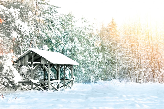 Wooden house covered with snow