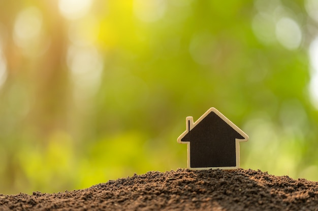緑​の​自然​の​土壌​で​成長している​木造​住宅​は​、​背景​を​ぼかし​。​ホーム​ビジネス​成長​コンセプト