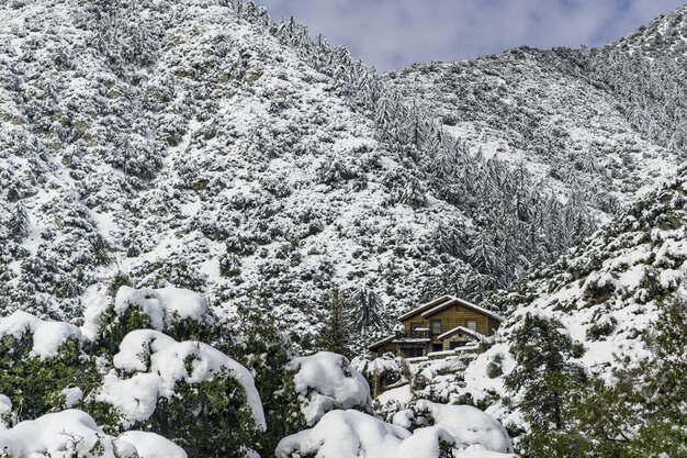 雪と青い曇り空の下の森で覆われた山の中の木造住宅