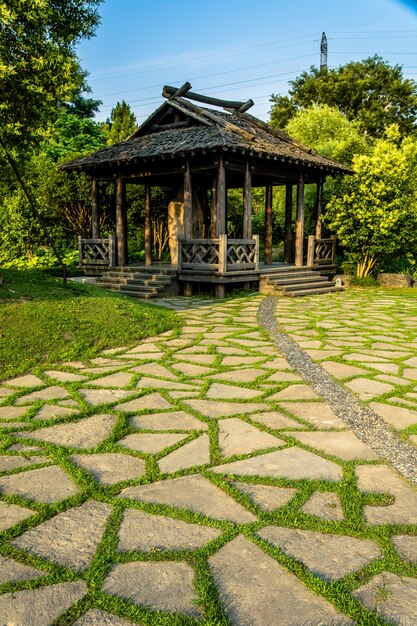 Wooden hut in the middle of the forest