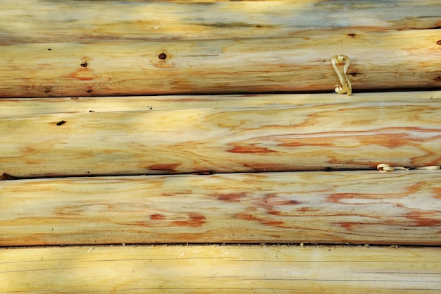 Wooden logs without bark