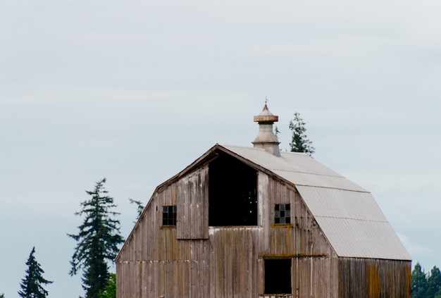 澄んだ白い空と森の中の木造の古い納屋