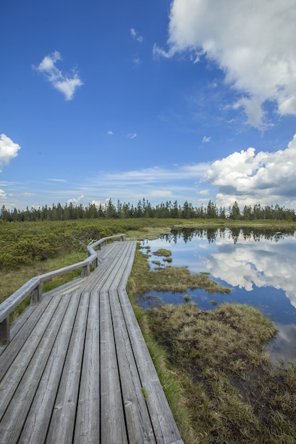 wooden path beside the Ribnica Lake in Slovenia