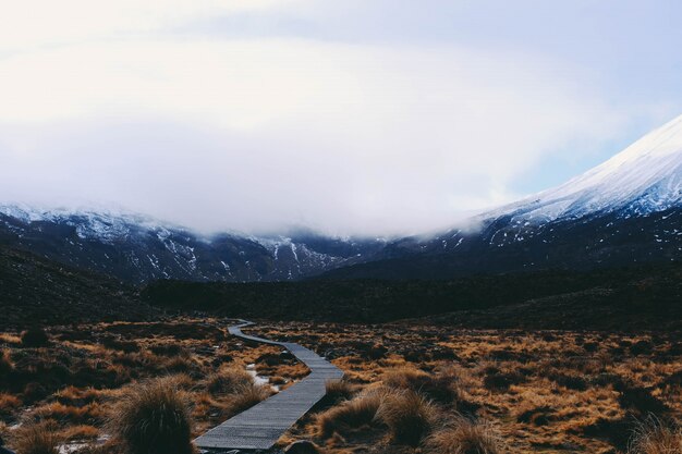 Wooden pathway going through a field with the snow covered mountain