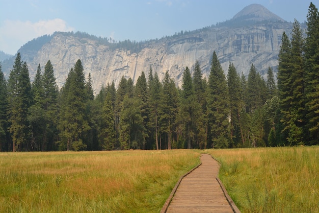 Wooden pathway in the middle of the grassy field with trees and mountains in the distance