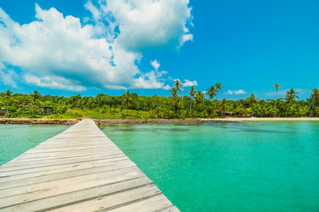 Wooden pier or bridge with tropical beach 