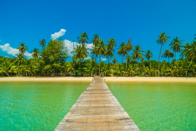 Wooden pier or bridge with tropical beach 